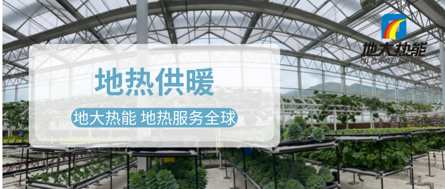 發(fā)揮地?zé)豳Y源優(yōu)勢，地?zé)徂r(nóng)業(yè)實現(xiàn)花卉產(chǎn)業(yè)特色發(fā)展 | 地大熱能 地?zé)岱?wù)全球