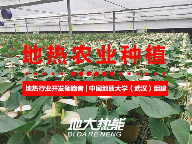 濟(jì)南：“地?zé)崮?農(nóng)業(yè)”產(chǎn)業(yè)融合，讓地?zé)崮苷嬲盁帷逼饋?lái)-地大熱能